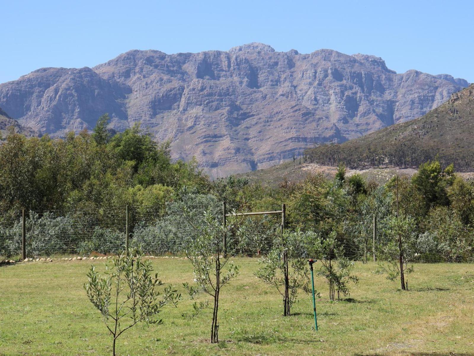 Villa La Ferme Franschhoek Exterior foto